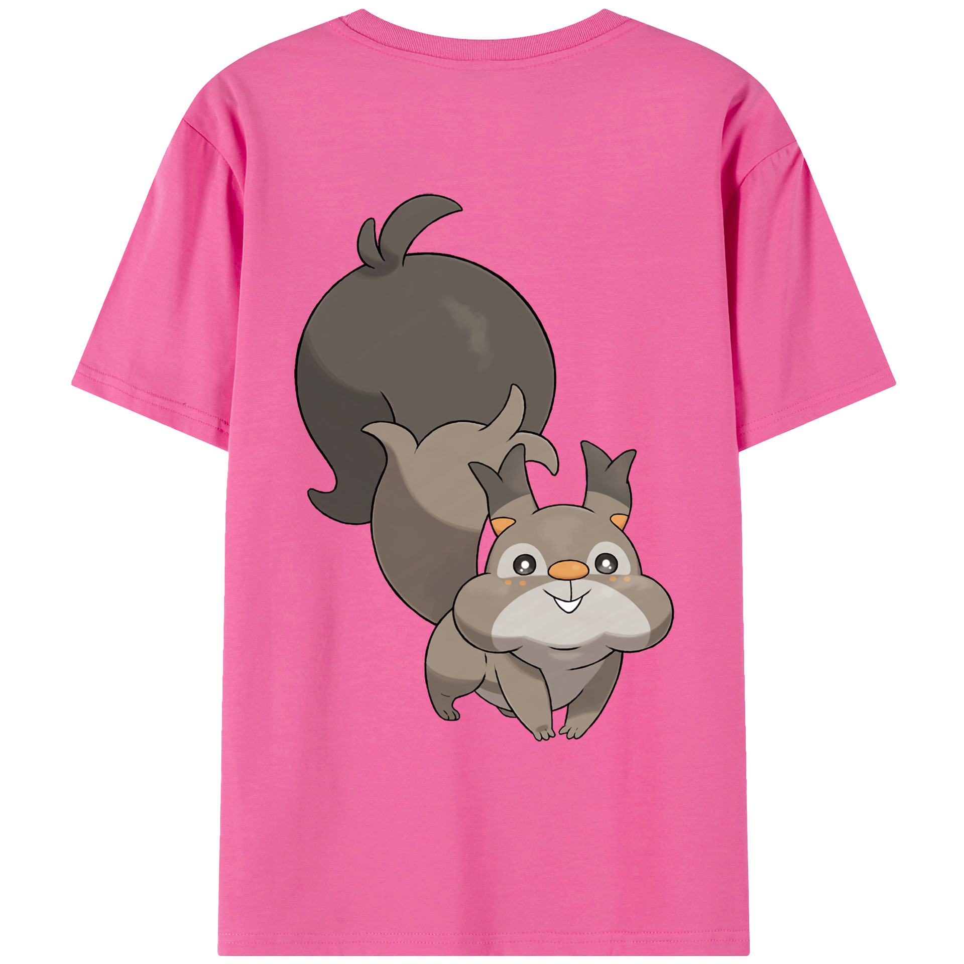 （画像用） ポケットモンスター Pokémon レディース半袖Tシャツ(バックプリント)